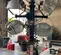 2019 Magnum Pro MLT6SM Portable Light Tower