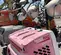 2017 Magnum Pro MLT6SM Portable Light Tower