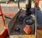 2015 Skyjack SJIII3219 Scissor Lift