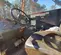 2015 Gehl RS6-42 Forklift
