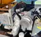 2017 Atlas Copco XAS185KD7 T4F Air Compressor