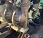 2017 VERSAMATIC E3SA5T559C-ATEX Pump